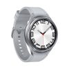 Samsung Galaxy Watch6 Classic (R960 2023) 47mm BT Silver EU