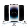 Tempered glass Tel Protect 10X Privacy Titanium for Iphone 11/XR