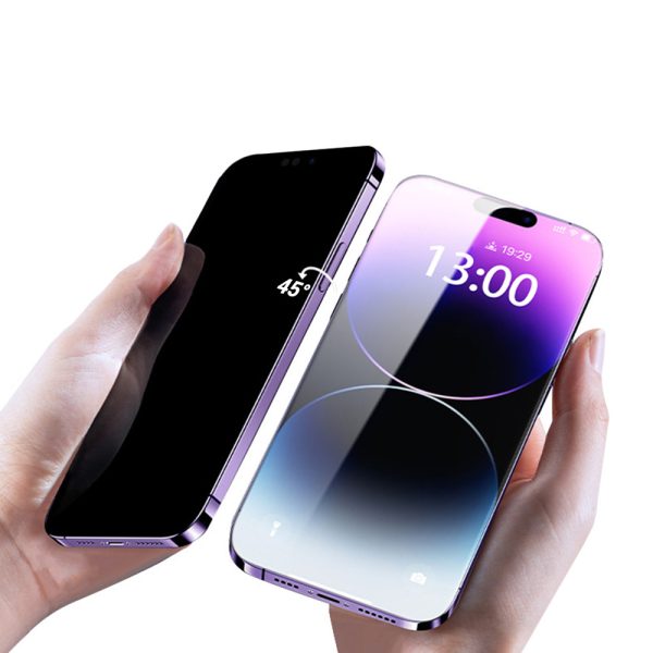 Tempered glass Tel Protect 10X Privacy Titanium for Iphone 11/XR